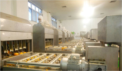 以“新”赋能，“味”见未来！丰岛食品走出绿色智造之路