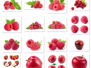 高清果蔬合成图素材包 486.20MB精品资源全解析